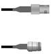 Amphenol Custom Cable Q-0901W0008048i
