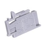 Aptiv (formerly Delphi) 15318201 放大圖片