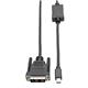 Tripp Lite P586-010-DVI