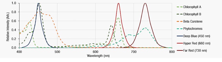 Würth Elektronik 園藝LED