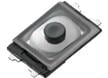 Small Waterproof Tactile Switches