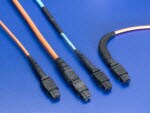 Molex High Density Multi-Fiber Solutions