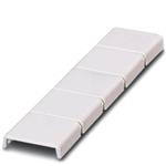 Phoenix Contact 1852875 放大圖片