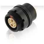 Souriau JDXER2T002FSN 放大圖片